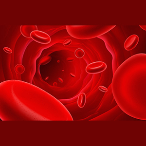 Visualizing Blood Poster